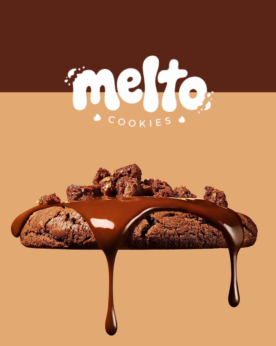 MELTO — visuel 3
