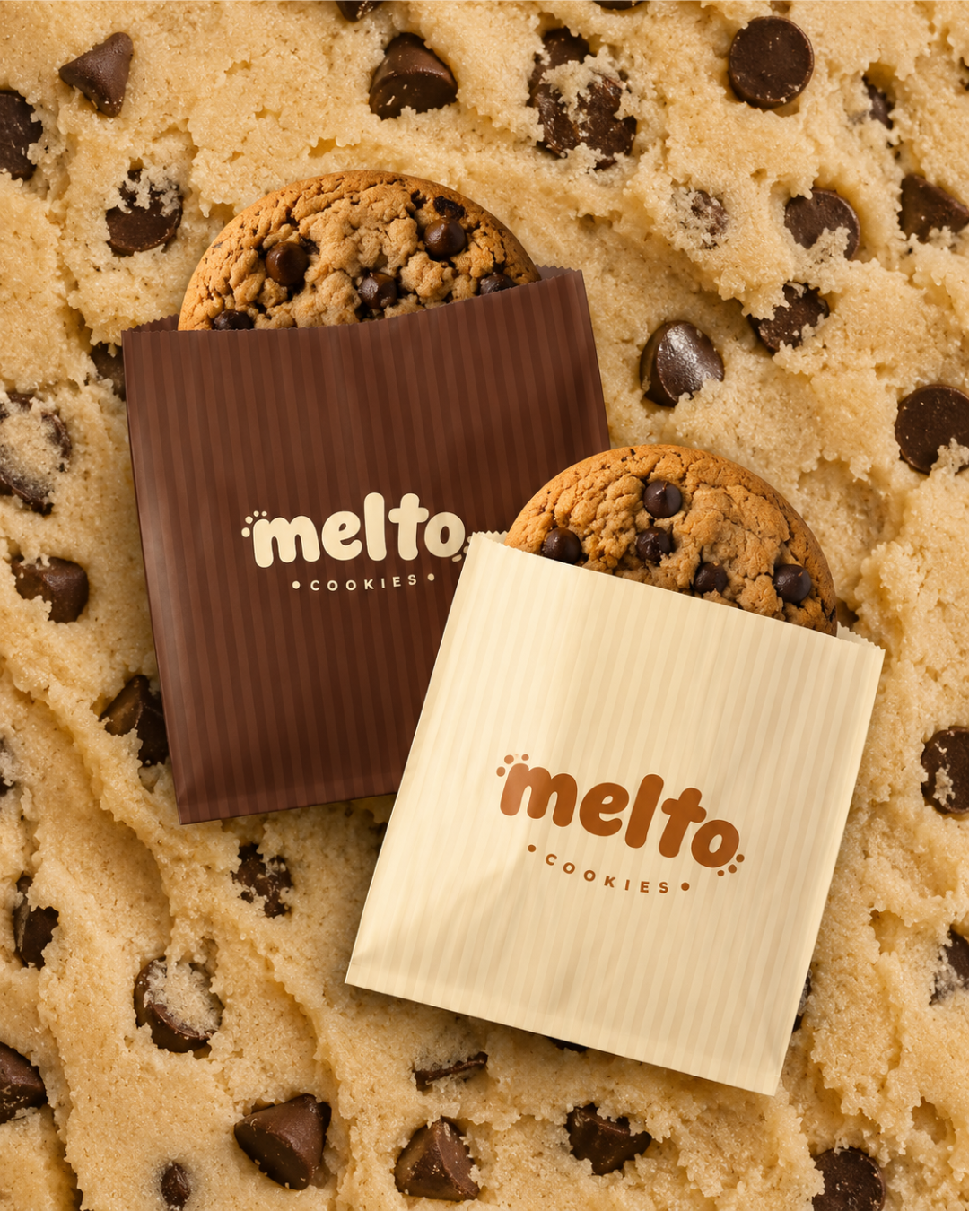 MELTO — visuel 5
