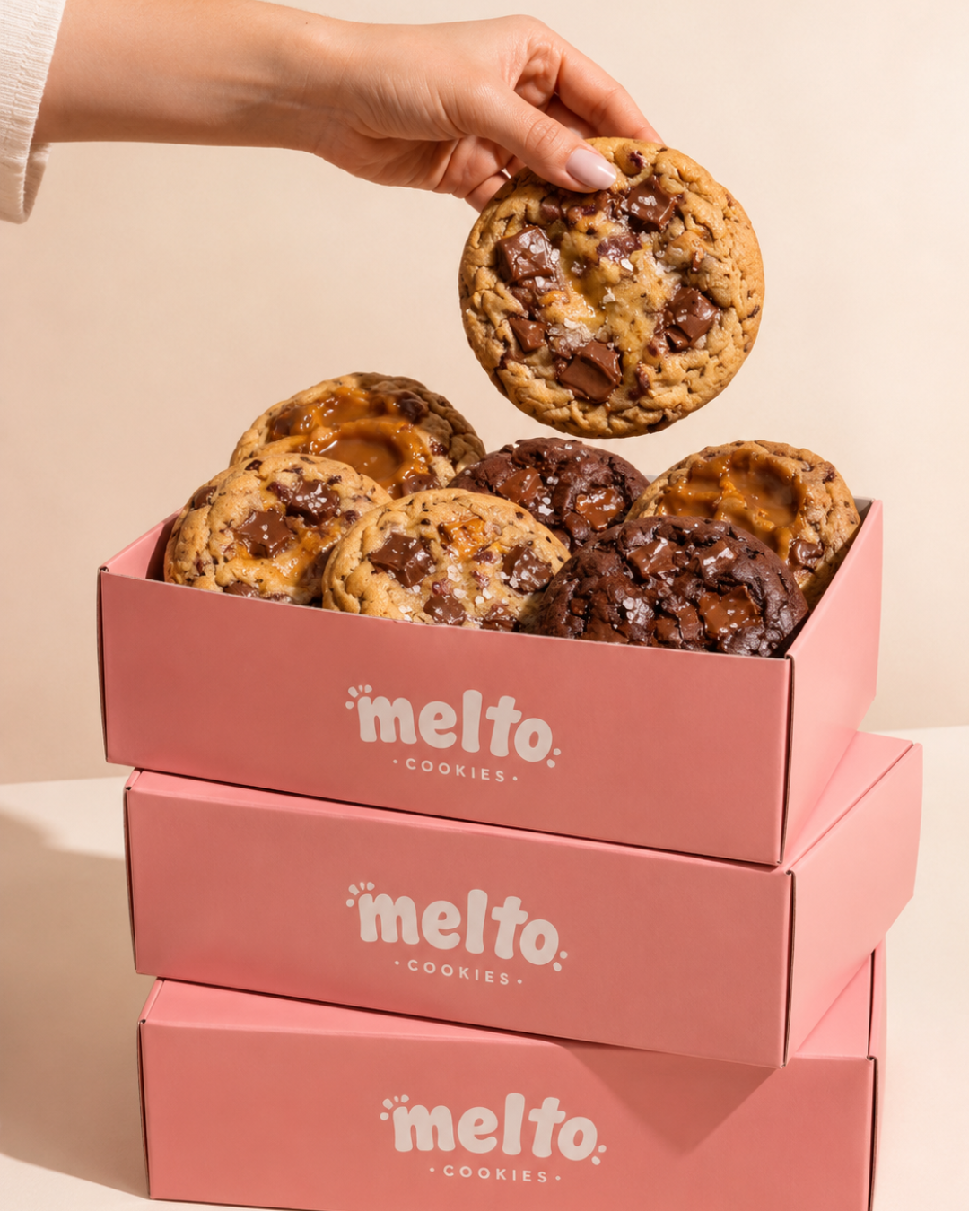 MELTO — visuel 3
