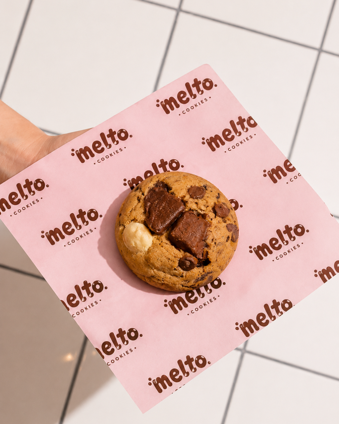 MELTO — visuel 4